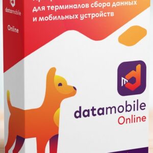 DataMobile, версия Online - LifeTime