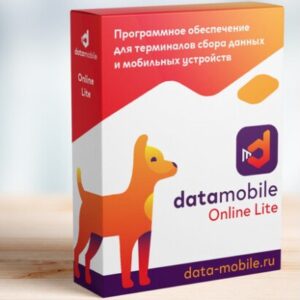 DataMobile, версия Online Lite - подписка на 6 месяцев