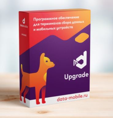 DataMobile, Upgrade с версии Стандарт Pro до Online