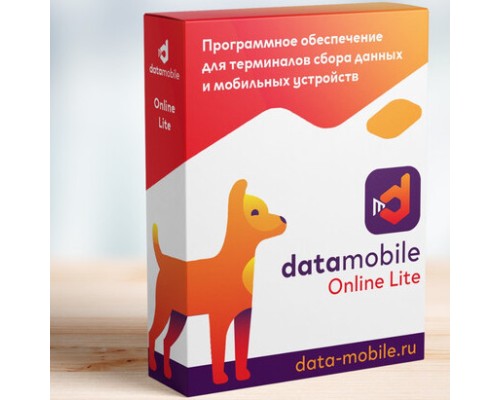 DataMobile, версия Online Lite - LifeTime